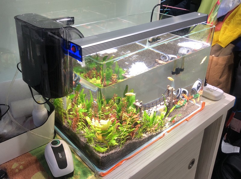 1.5呎(48公分) 可切換式 LED水族燈:　1.5呎 水草缸 觀賞模式