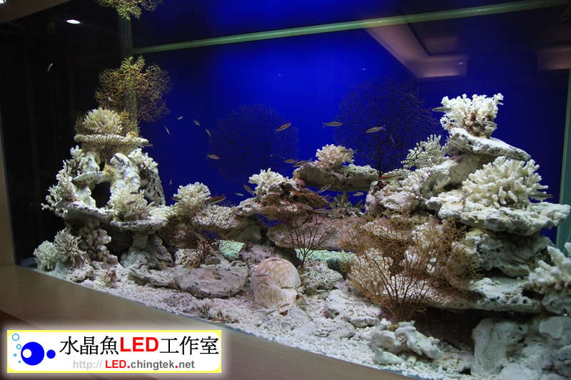4組 x 3呎(93cm )LED水族燈 :　7.5呎 淡水缸