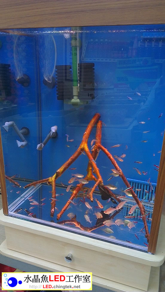 1.5呎(48cm ) LED水族燈 :　1.5呎 淡水缸