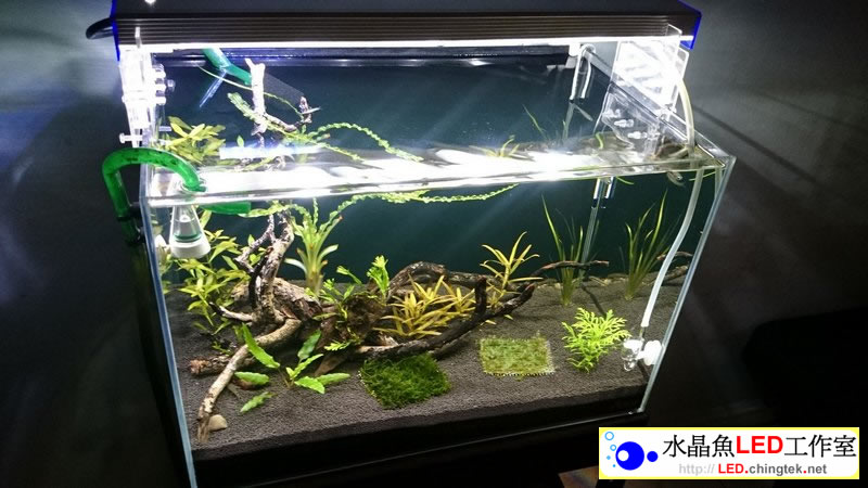1.5呎(48公分) 可切換式 LED水族燈:　1.5呎 水草缸