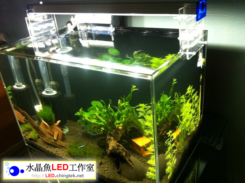 1.5呎(48公分) 可切換式 LED水族燈:　1.5呎 水草缸