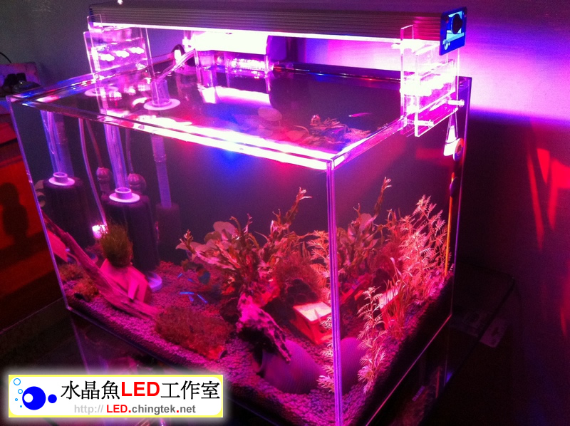 1.5呎(48公分) 可切換式 LED水族燈:　1.5呎 水草缸