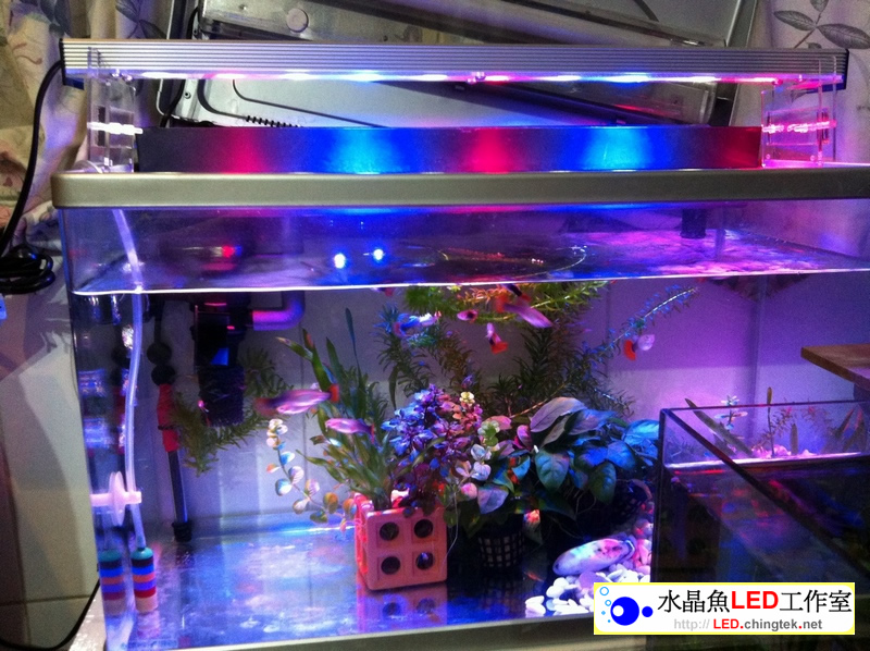 2呎(63公分) 可切換式 LED水族燈:　2呎 水草缸