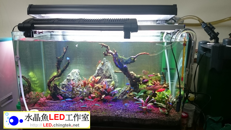 2呎(63公分) 可切換式 LED水族燈:　2呎 水草缸