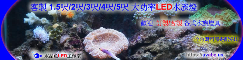 【水晶魚LED工作室 】客製 1.5呎/2呎/3呎/4呎/5呎 大功率LED水族燈，歡迎 訂製/客製 各式水族燈具 !